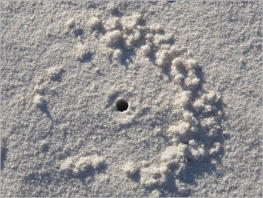 White Sands National Monument - NM