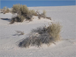White Sands National Monument - NM