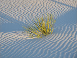 White Sands National Monument - NM