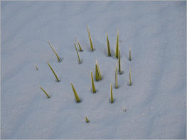 White Sands National Monument - NM