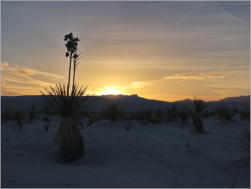 White Sands National Monument - NM