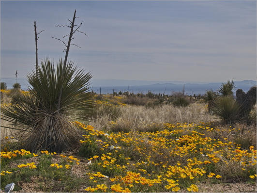 San Andres Mountains vom HW 70 aus gesehen, NM