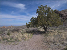 Dripping Springs Natural Area, NM