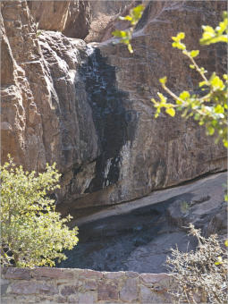 Dripping Springs Natural Area, NM