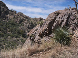 Dripping Springs Natural Area, NM