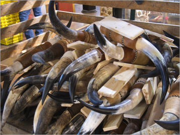 Big Tesan Steakhouse, Route66 - TX