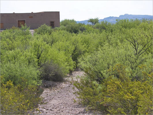 Fort Leaton State Historic Site, TX
