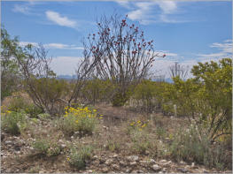 Fort Leaton State Historic Site, TX