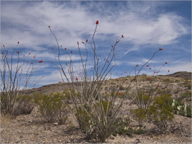Big Bend Ranch State Park, TX