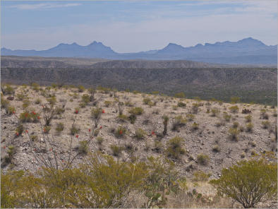Big Bend Ranch State Park, TX