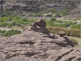 Big Bend Ranch State Park, TX