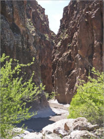 Closed Canyon Trail - Big Bend Ranch SP, TX