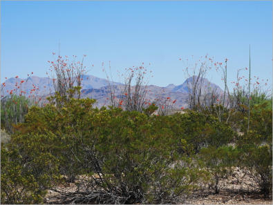 Big Bend National Park, TX
