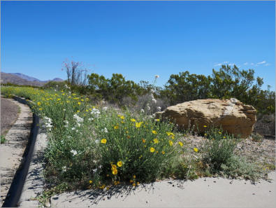 Big Bend National Park, TX