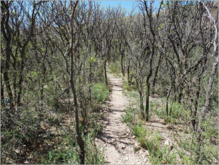 Sam Nail Trail - Big Bend NP, TX