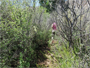 Sam Nail Trail - Big Bend NP, TX