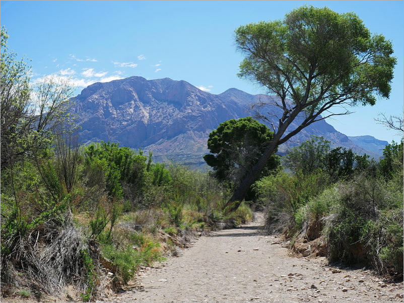 Sam Nail Trail - Big Bend NP, TX