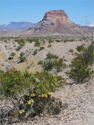 Big Bend NP