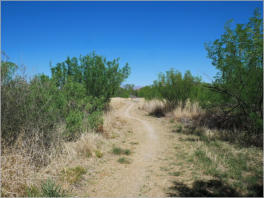 Dorgan-Sublett Trail - Big Bend NP