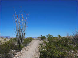 Dorgan-Sublett Trail - Big Bend NP