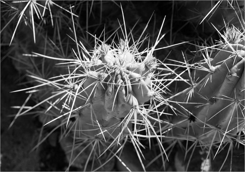 Dorgan-Sublett Trail - Big Bend NP