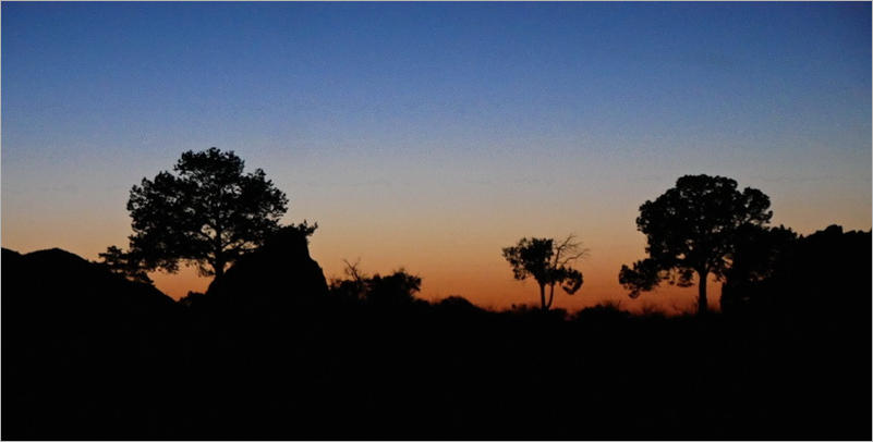 Chisos Mountain Lodge - Big Bend NP, TX