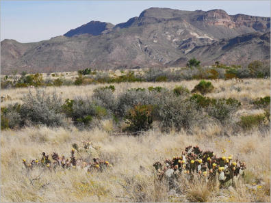Chimneys Trail - Big Bend NP, TX