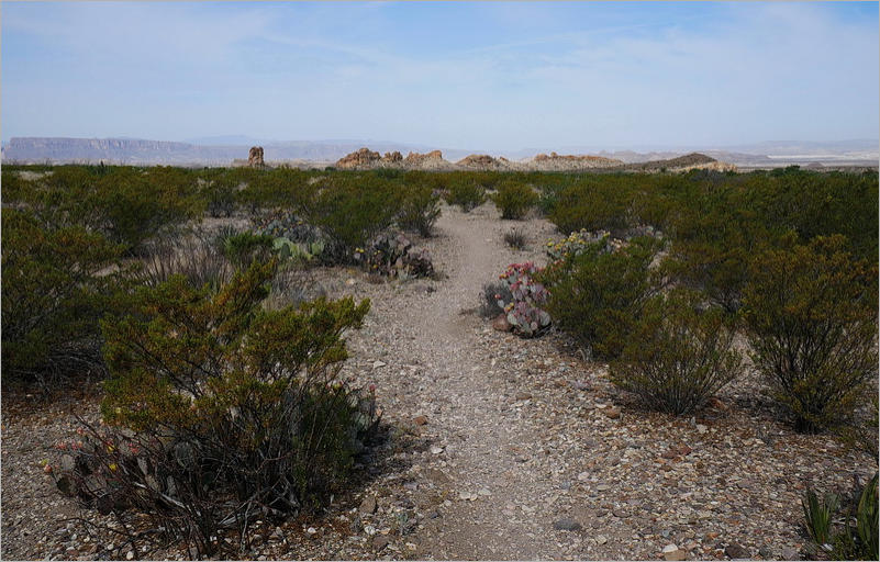 Chimneys Trail - Big Bend NP, TX