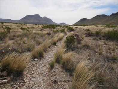 Chimneys Trail - Big Bend NP, TX