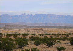 Big Bend NP, TX