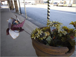 Goldthwaite, TX - USA