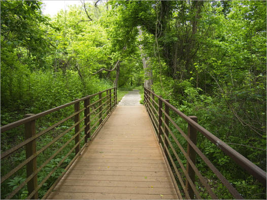 Mission San Juan, Yanaquana Trail - San Antonio, TX