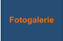 Fotogalerie