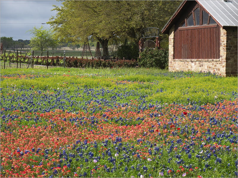 Wildsead Farms - Fredericksburg, TX