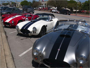 Cobras in Fredericksburg - Texas