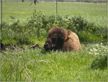 Lyndon B. Johnson State Park + Historic Site - TX