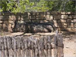 Sauer-Beckmann Living Historie Farm - Texas
