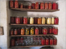 Sauer-Beckmann Living Historie Farm - Texas