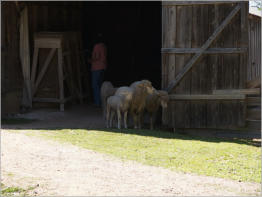 Sauer-Beckmann Living Historie Farm - Texas