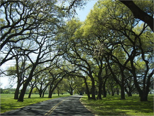 Lyndon B. Johnson NHS ~LBJ Ranch District~