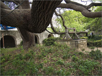 The Alamo - San Antonio, TX
