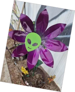 Alien Cowpoke Gas + General Store, Rachel, NV