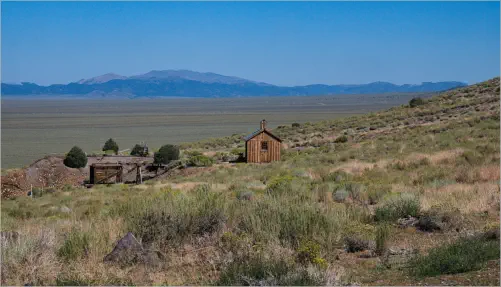 Berlin-Ichthyosaur SP, NV