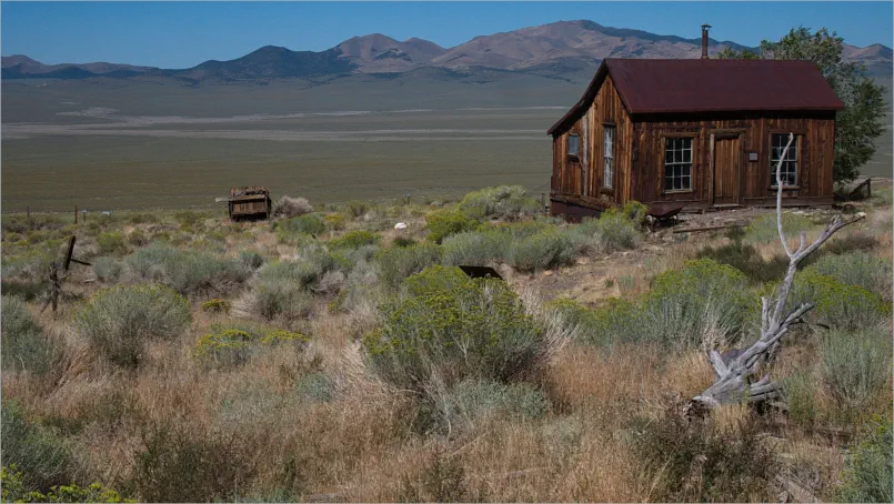 Berlin-Ichthyosaur SP, NV