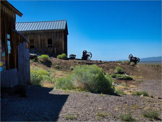 Berlin-Ichthyosaur SP, NV