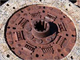 Berlin-Ichthyosaur SP, NV