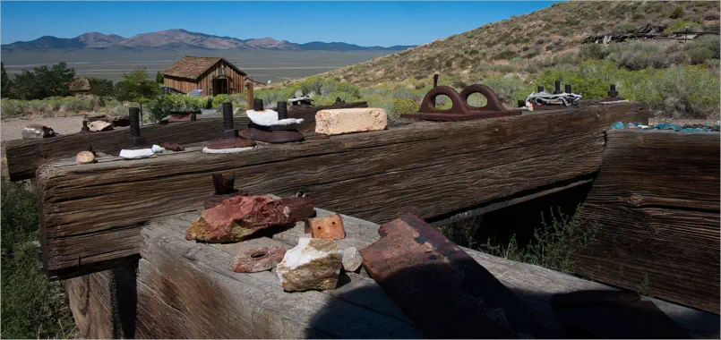 Berlin-Ichthyosaur SP, NV