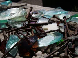 Berlin-Ichthyosaur SP, NV