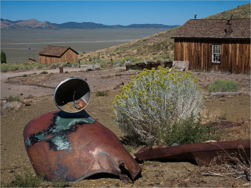 Berlin-Ichthyosaur SP, NV