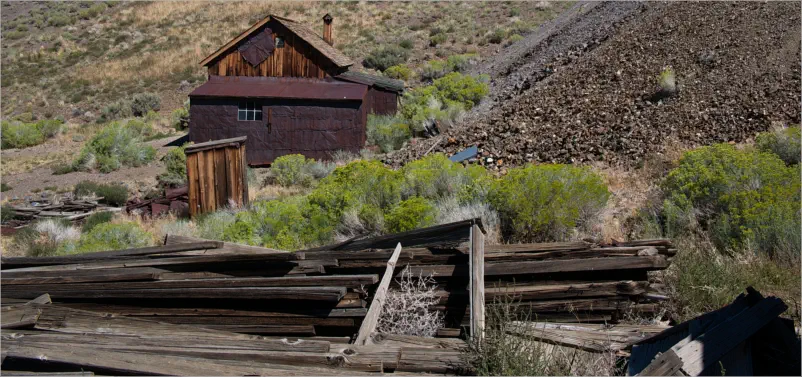 Berlin-Ichthyosaur SP, NV